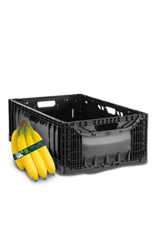 JSORFT16X6IF