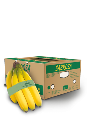 MSORFTPB