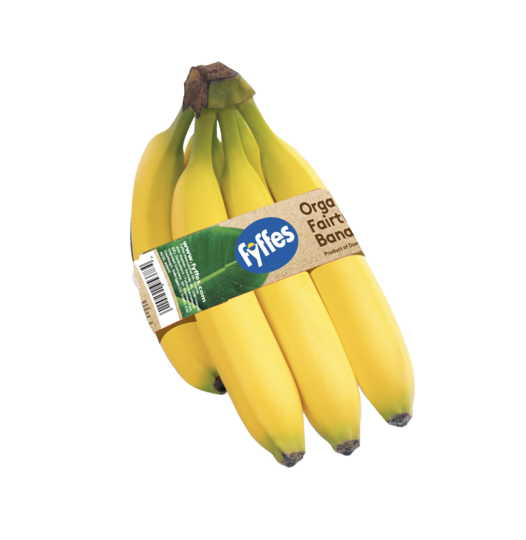 ORG-FT-yellow