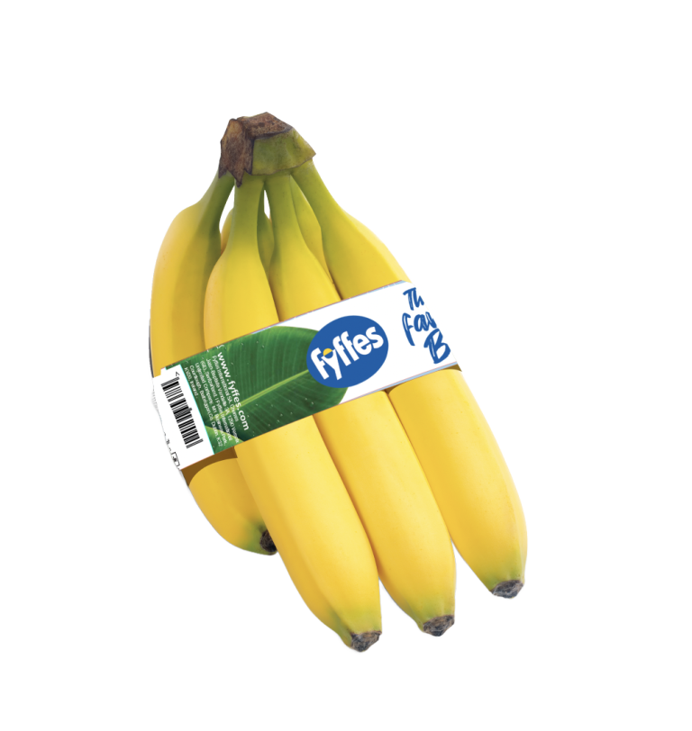 Uks-favorite-yellow