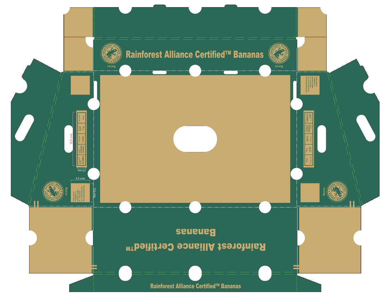 T22X6PBRA - Image 3