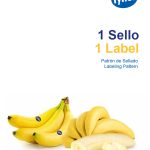 Labeling-fringer-pattern3