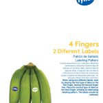 Labeling-fringer-pattern9