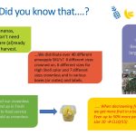 Slide10