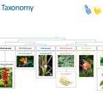 Slide10