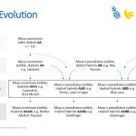 Slide11
