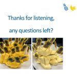 Slide13
