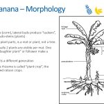 Slide13