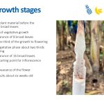 Slide14