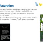 Slide21