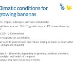 Slide24