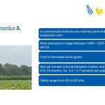 Slide27