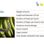 Slide28