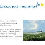 Slide29