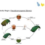 Slide30