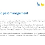 Slide31