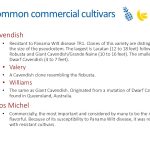 Slide6