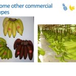 Slide7