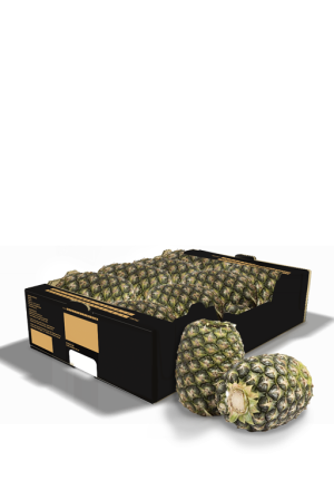 BB Fyffes Crownless