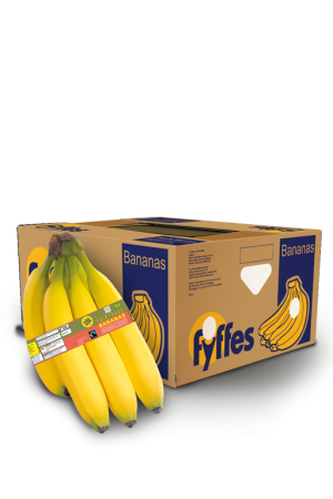 COFT22X5PB