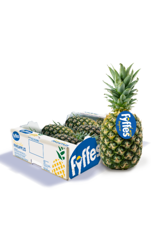 FRFRLG Fyffes Ready to Eat Largerge