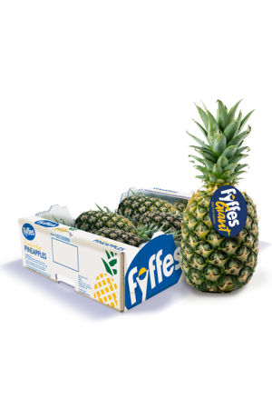 FRFRGI Fyffes Ready to Eat Giant