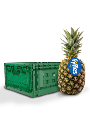 EPGFR8 EPS Green Fyffes RTE